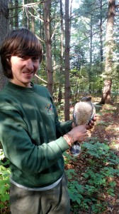 IMG_20150617_075832292