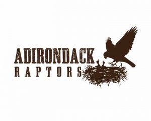 adirondack_raptors_large