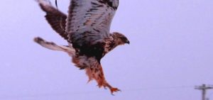 Malone Middle School