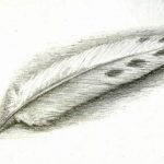 Sandy Creek Public Library