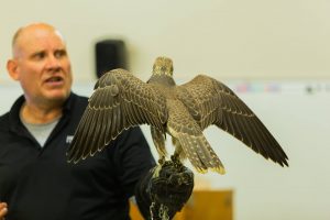 Tenth Annual Winter Raptorfest