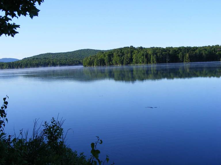 Deer River Campground Visit Adirondack Raptors