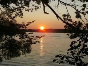 Minna Anthony Common Nature Center