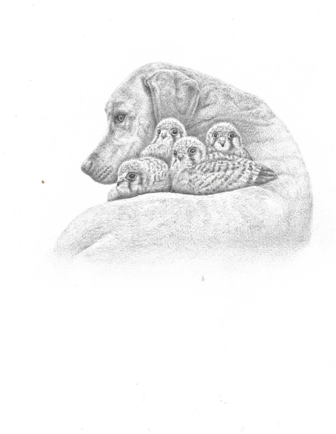 Hepburn Public Library in Norfolk