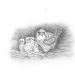 Malone Elementary Schools (Davis, Flannagin, and St. Joes)