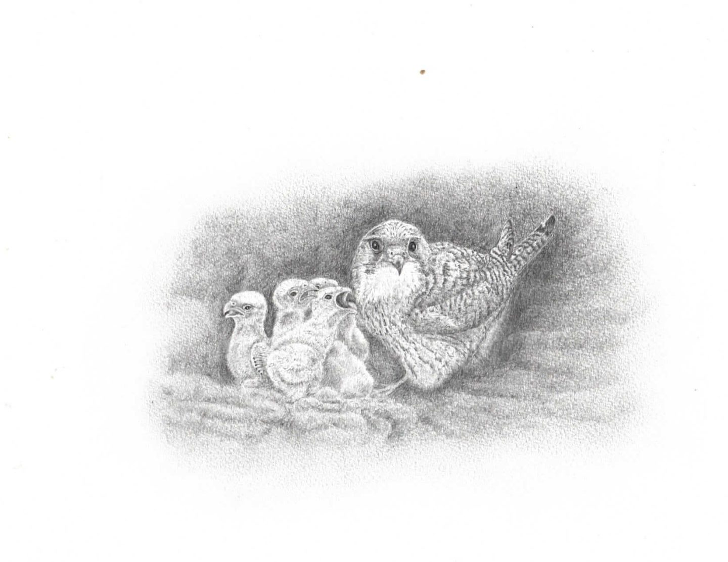 Malone Elementary Schools (Davis, Flannagin, and St. Joes)