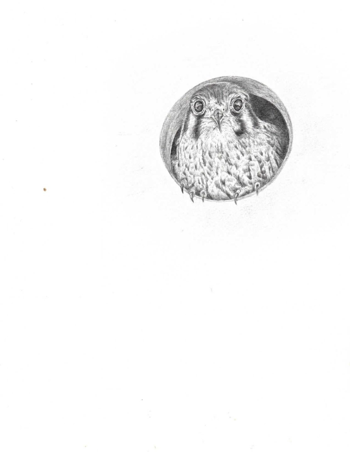 Waddington Public Library