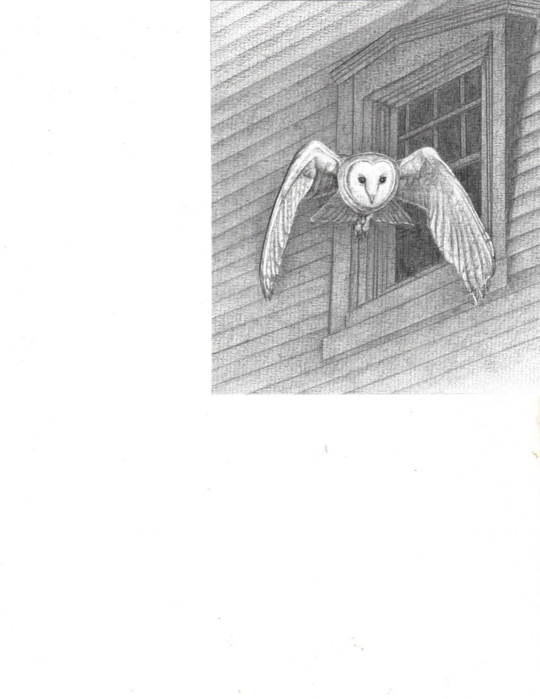 St. Lawrence University Natural World Class